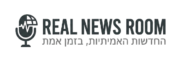 realnewsroom.online